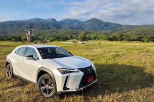 LEXUS UX 250H
