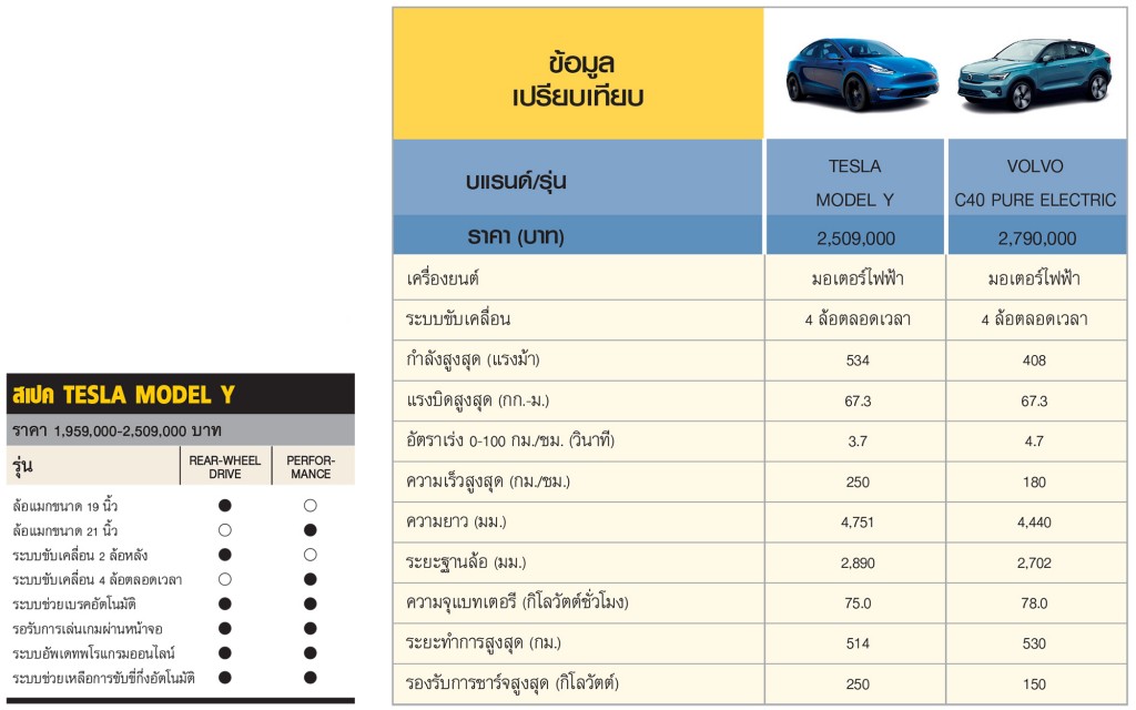 TESLA MODEL Y PERFORMANCE