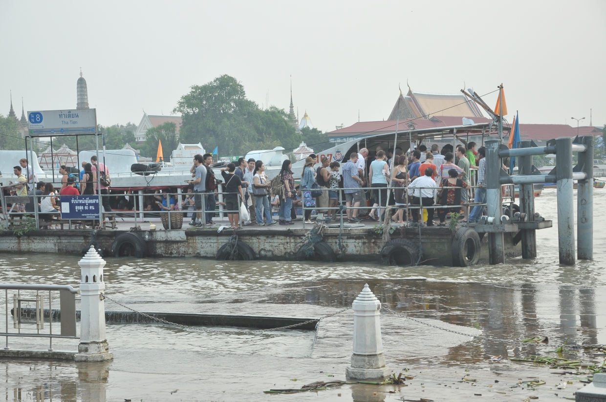 คนละครึ่งพลัส